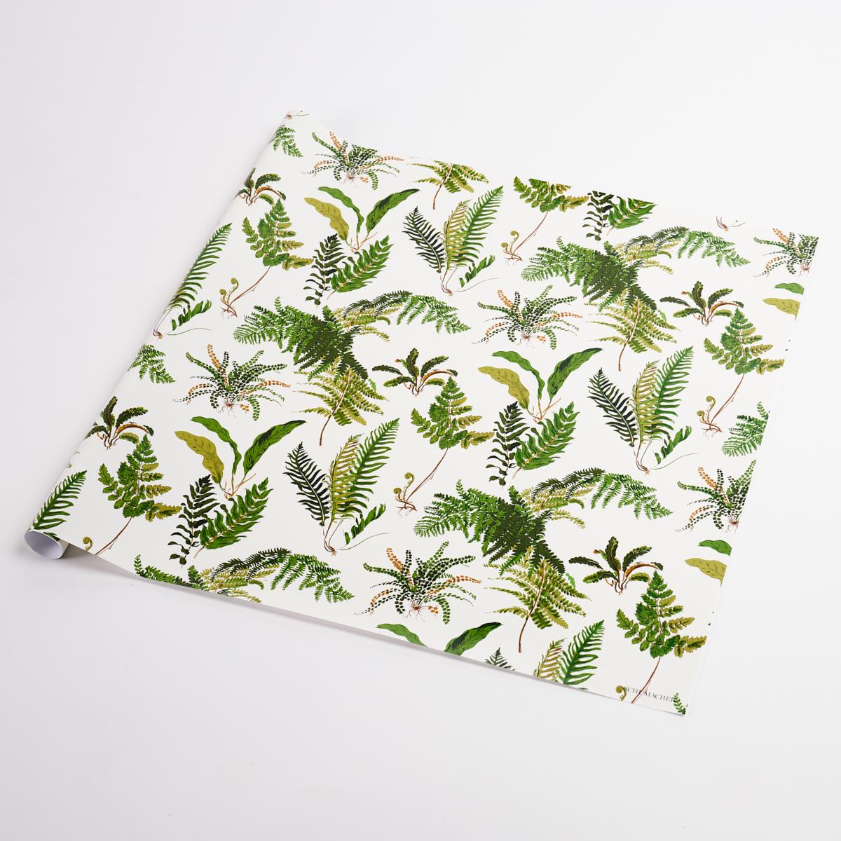 Les Fougeres Wrapping Paper_DOCUMENT
