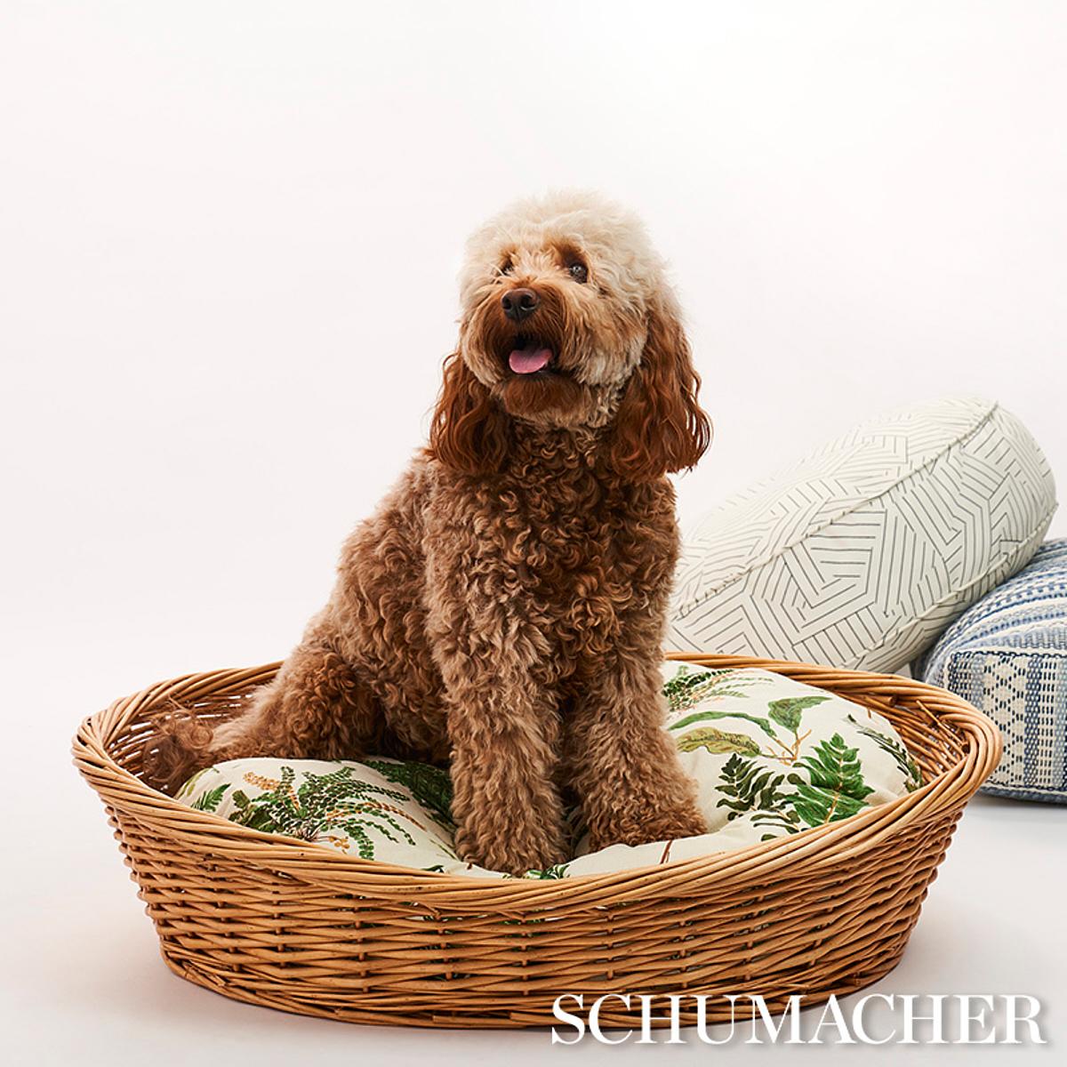 Les Fougeres Dog Bed_DOCUMENT