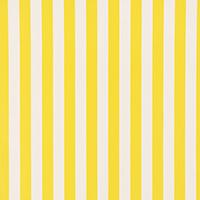 ANDY STRIPE_YELLOW